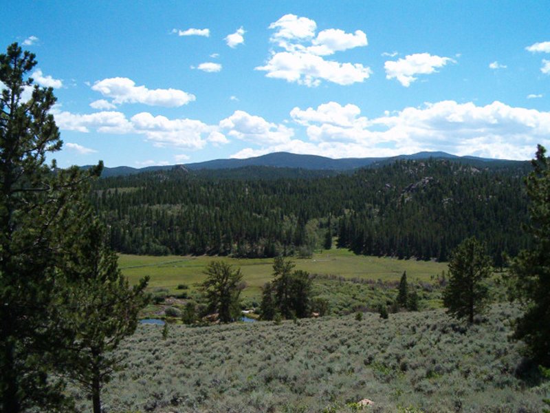 Property photo 34 - Get Lost in the Pristine Northern Colorado Rockies - Prime Building Sites